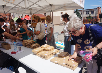 Dni Grodu Śniadeckich z biblioteką 
