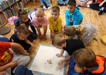 Ekologiczne hece w bibliotece z sową Olą