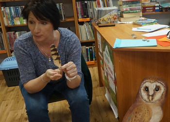 Ekologiczne hece w bibliotece z sową Olą