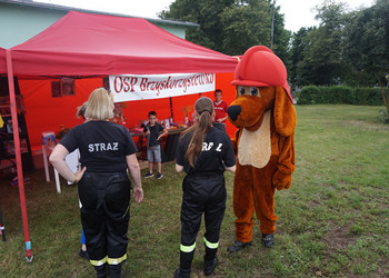  Integracyjny Festyn Rodzinny z profilaktyką w tle w Brzyskorzystewku