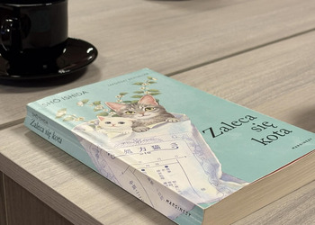 Rozmawialiśmy na temat książki „Zaleca się kota” Shō Ishidy.  